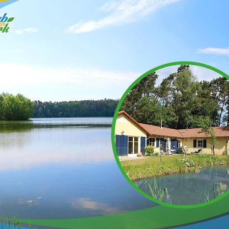 Familien-Suite-Im-Wald-Am-See Bork ภายนอก รูปภาพ