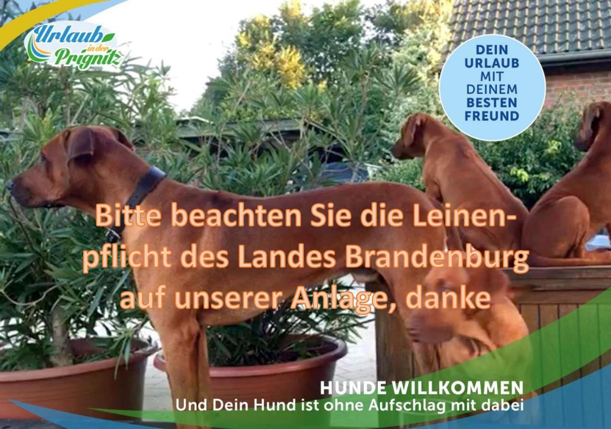 Familien-Suite-Im-Wald-Am-See Bork ภายนอก รูปภาพ